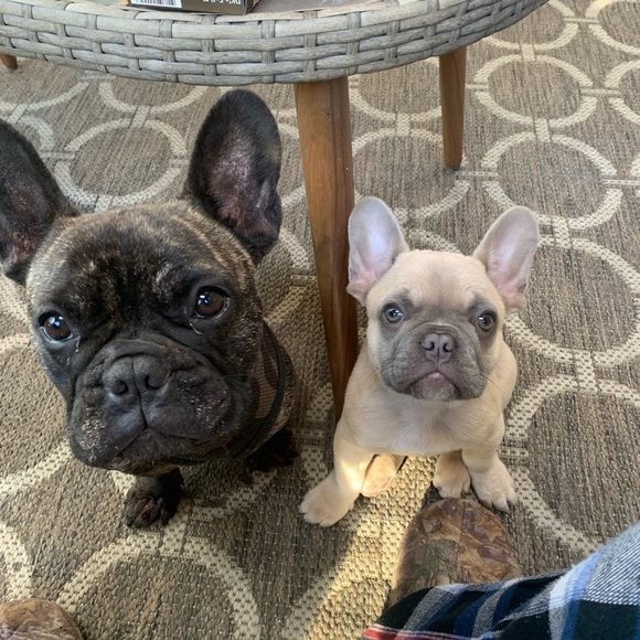 Meet your Posher, Kristin - Picture 2 of 2